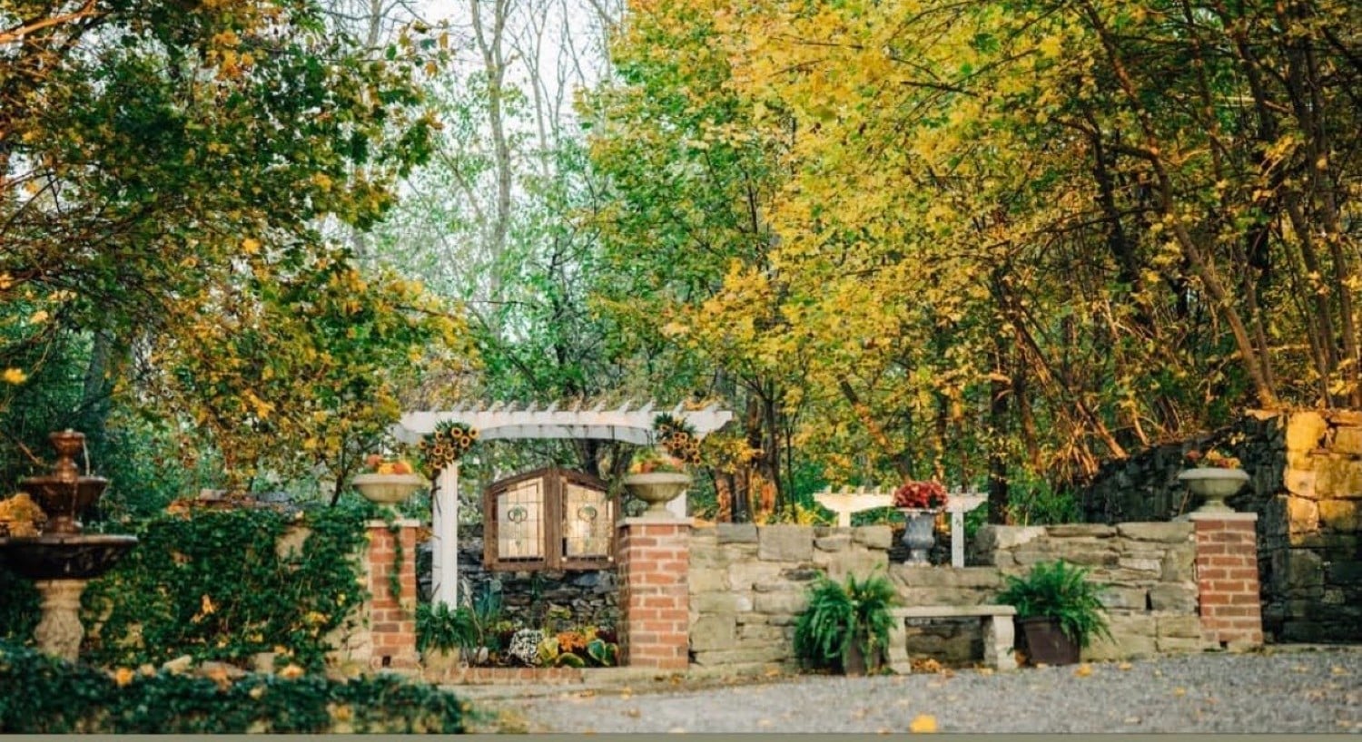 Outdoor area with a stone wall and white pergola surrounded by tall trees and lush plants