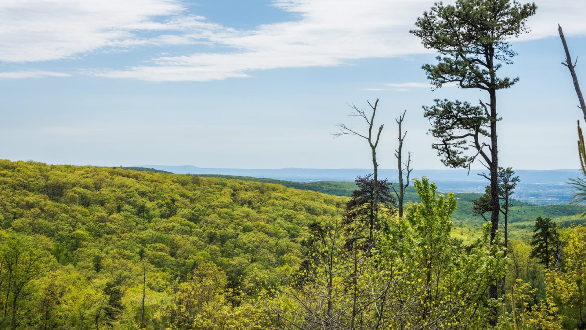 An expansive, lush green valley with blue skies and clouds overhead