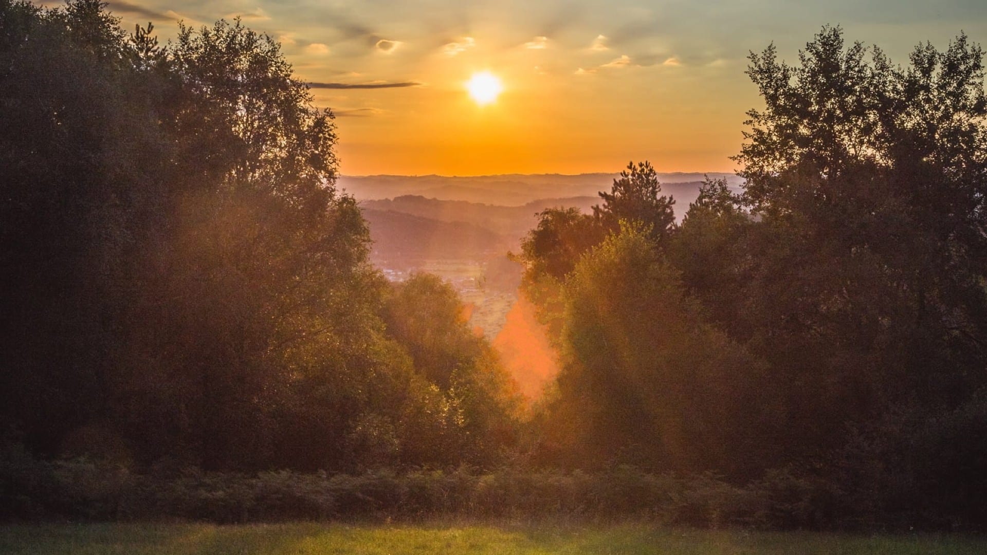 Glowing sunrise over a vast tree covered mountain range