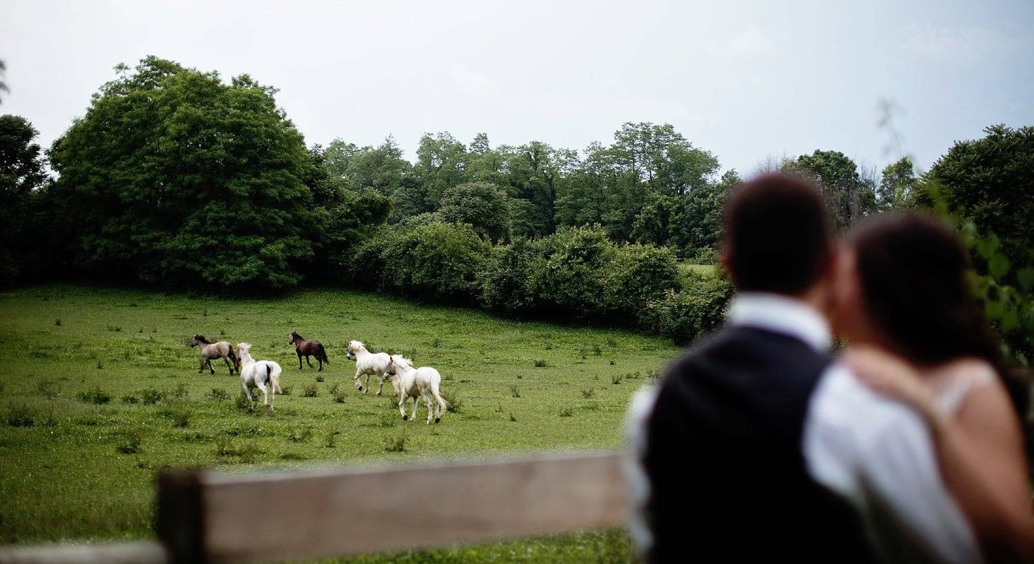 A bride and groom standing together overlooking a horse pasture