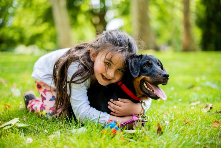 A little girl and her black and brown dog playing on green grass