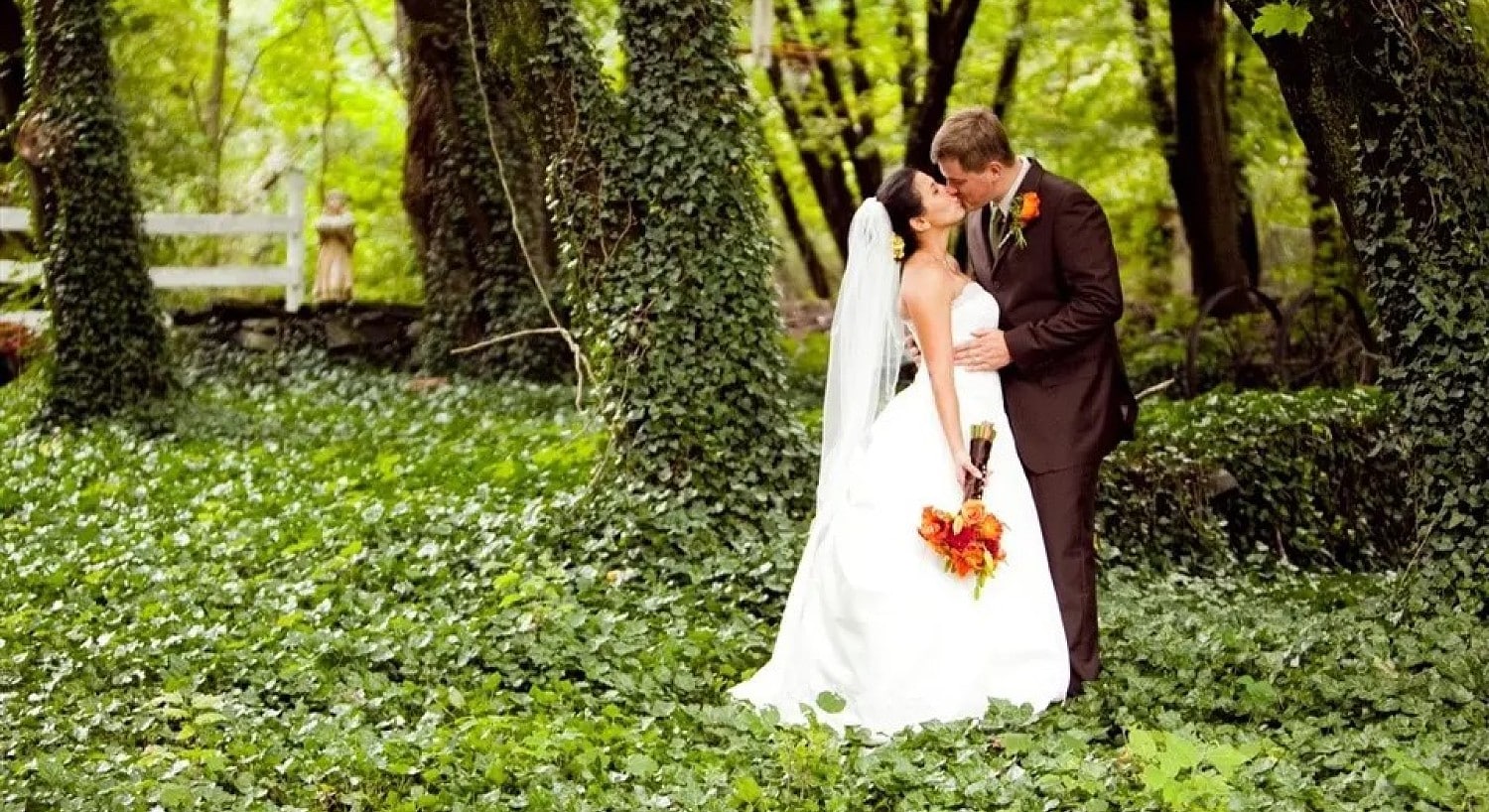 A bride and groom kissing outdoors by large trees with the ground covered in lush green leaves